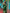 Malishka Banarasi Silk Woven Saree With Blouse Piece - Green