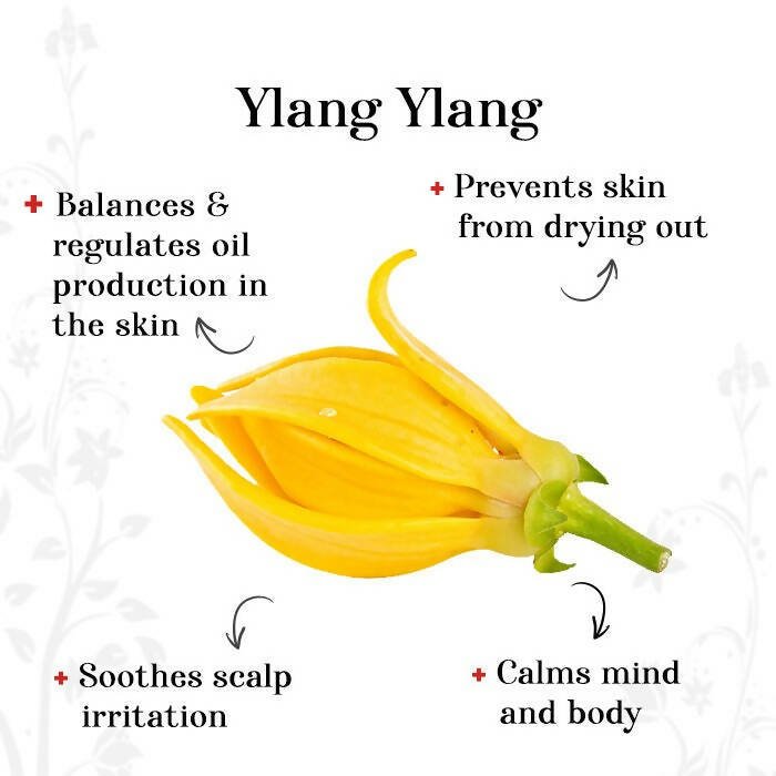 Alps Goodness Ylang Ylang Essential Oil - Distacart