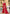Vegaa Fashion Red Georgette Embroidered Wedding Wear Saree