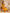 Janasya Mustard Crepe Silk Solid Wrap Kurta Set