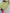 SIE Heavy Colorful Design Pure Jimmy Choo Silk Fabric Salwar Suit