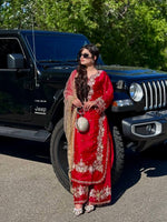 Thumbnail for SIE Heavy Colorful Design Pure Jimmy Choo Silk Fabric Salwar Suit