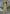 Aarshi Fashions Light Green Heavy Chinon Silk Full Stitched Palazzo Suit
