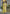 Aarshi Fashions Light Yellow Heavy Chinon Silk Full Stitched Palazzo Suit