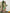 Shivam Fabrics Green Georgette Fabric Printed Saree