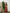 Shivam Fabrics Yellow Tussar Silk Fabric Printed Saree
