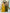 Sonakshi Women's Mehandi & Yellow Star Georgette Cording & Therad Embroidered With Latkan Lece Sarara Set With Dupatta
