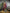 Sonakshi Women's Wine Banarasi Silk Zari Weaving Saree with Blouse