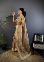 Thumbnail for Sonakshi Women'S Chiku Pure Organza Silk With Attractive Embroidery Work Traditional Saree With Blouse - Distacart