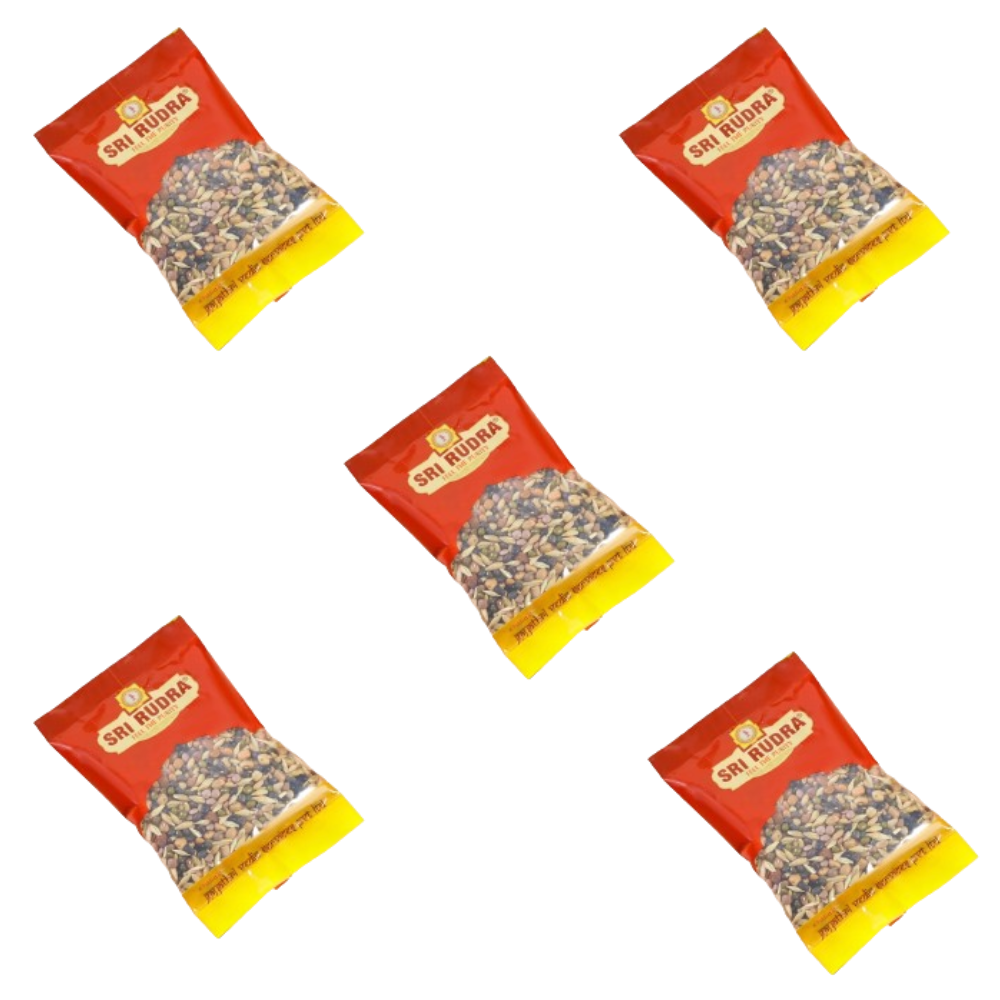 Sri Rudra NAvadhanyalu - Distacart