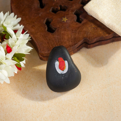 Sri Rudra Salagramam Stone - Distacart