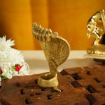 Thumbnail for Sri Rudra Seshnag (SR 02239) - Distacart