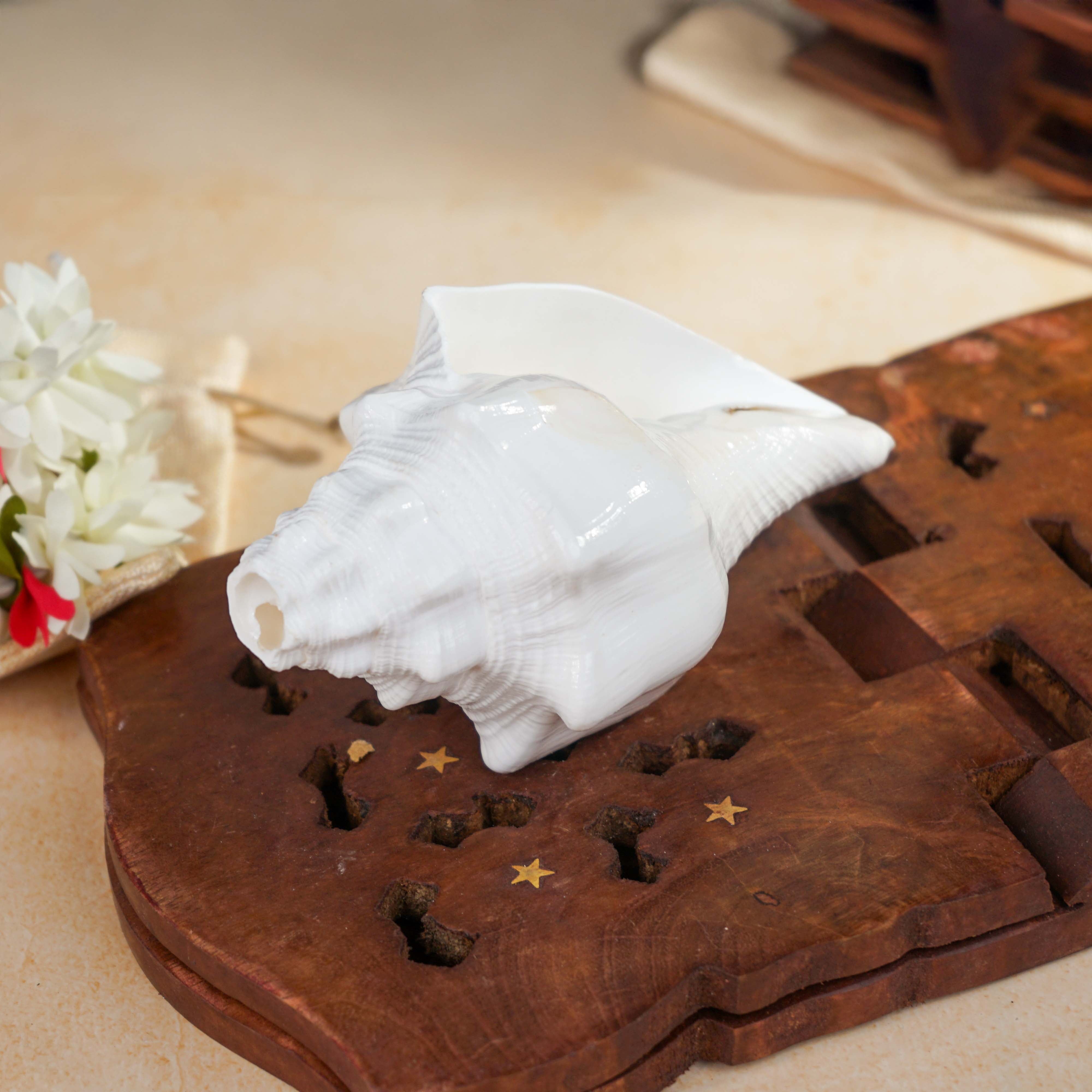 Sri Rudra Blowing Shank Big (SR 03095) - Distacart