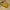 Sri Rudra Gold Tray 12X10 (SR 01956) - Distacart