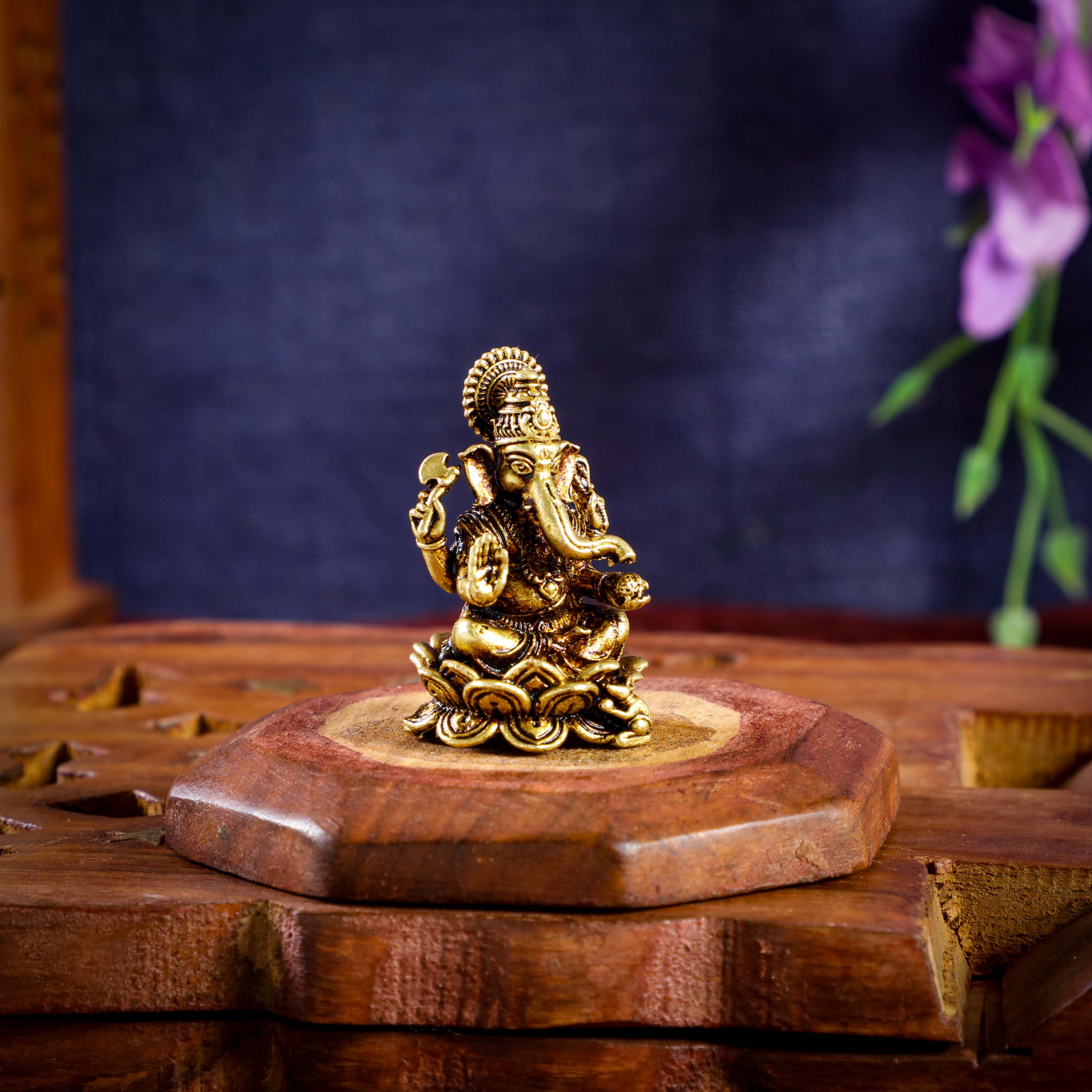 Sri Rudra Lotus L.G Primium (SR 02955) - Distacart
