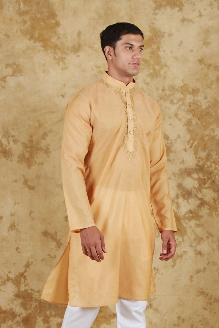 Bluesaanchi Men's Chandery Silk Khaki Embroidered Kurta Set - Distacart
