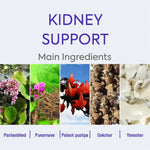 Thumbnail for Herbal Hills Ayurveda Stonhills Tablets - Distacart