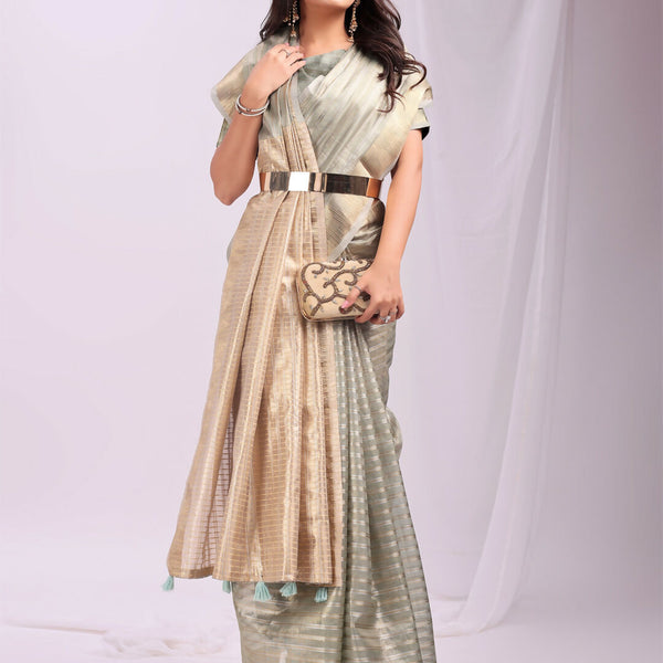 Astita Organza Grey Saree