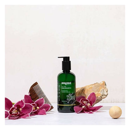 August Bioscience Anti Frizz Hair Shampoo - Distacart