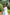 Teeya Creation Off White Color Georgette Fabric ready To Wear Saree - Distacart