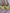 Desi Colour Women Indian Ethnic Footwear-Yellow Mirror Emb - Distacart