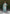 Lorenvalley Fashion Seagreen Roman Silk Hand Work Kurta Pant with Dupatta