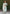 Lorenvalley Fashion Seagreen Roman Silk Hand Work Kurta Pant with Dupatta