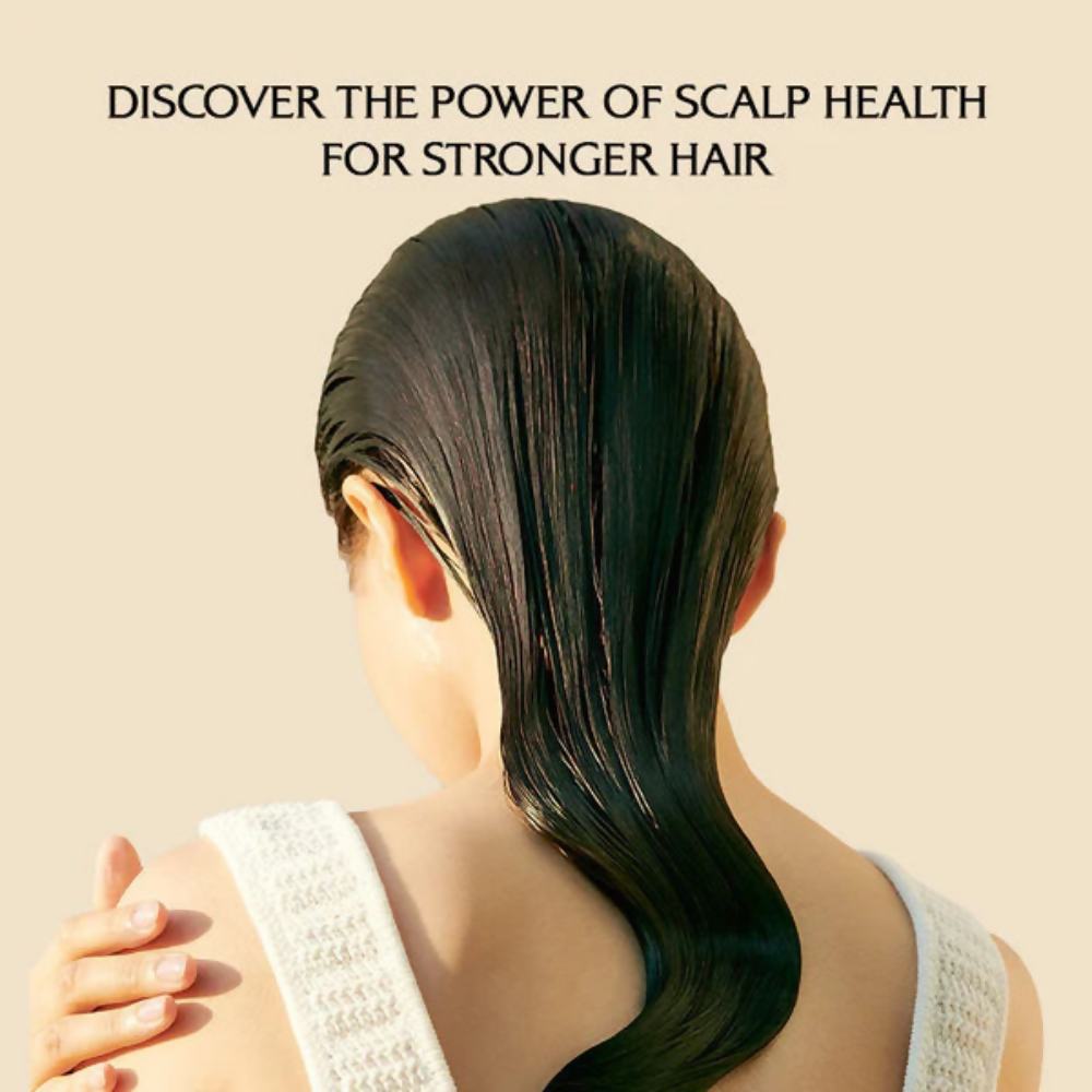 La'dor Dermatical Hair-Loss Shampoo For Normal To Dry Hair - Korean Shampoo for Scalp Care - Distacart