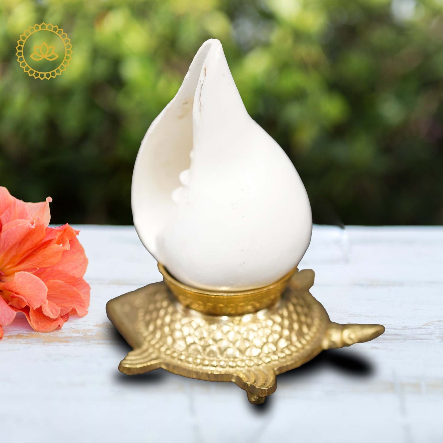 Shank with Brass Stand: Harmonize Your Pooja Rituals - Distacart