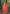 Lehenga Mart Designer Chinon Sharara Suit With Sequence Embroidered Work - Orange - Distacart