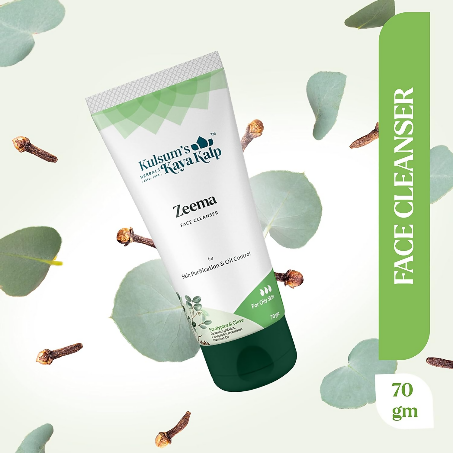 download - 2024-09-25T180339.528