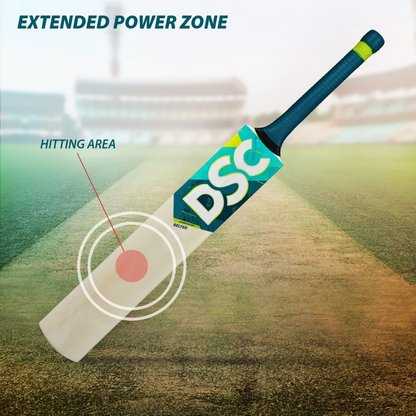 DSC Belter Wood Kashmir Willow Cricket Bat - Dista
