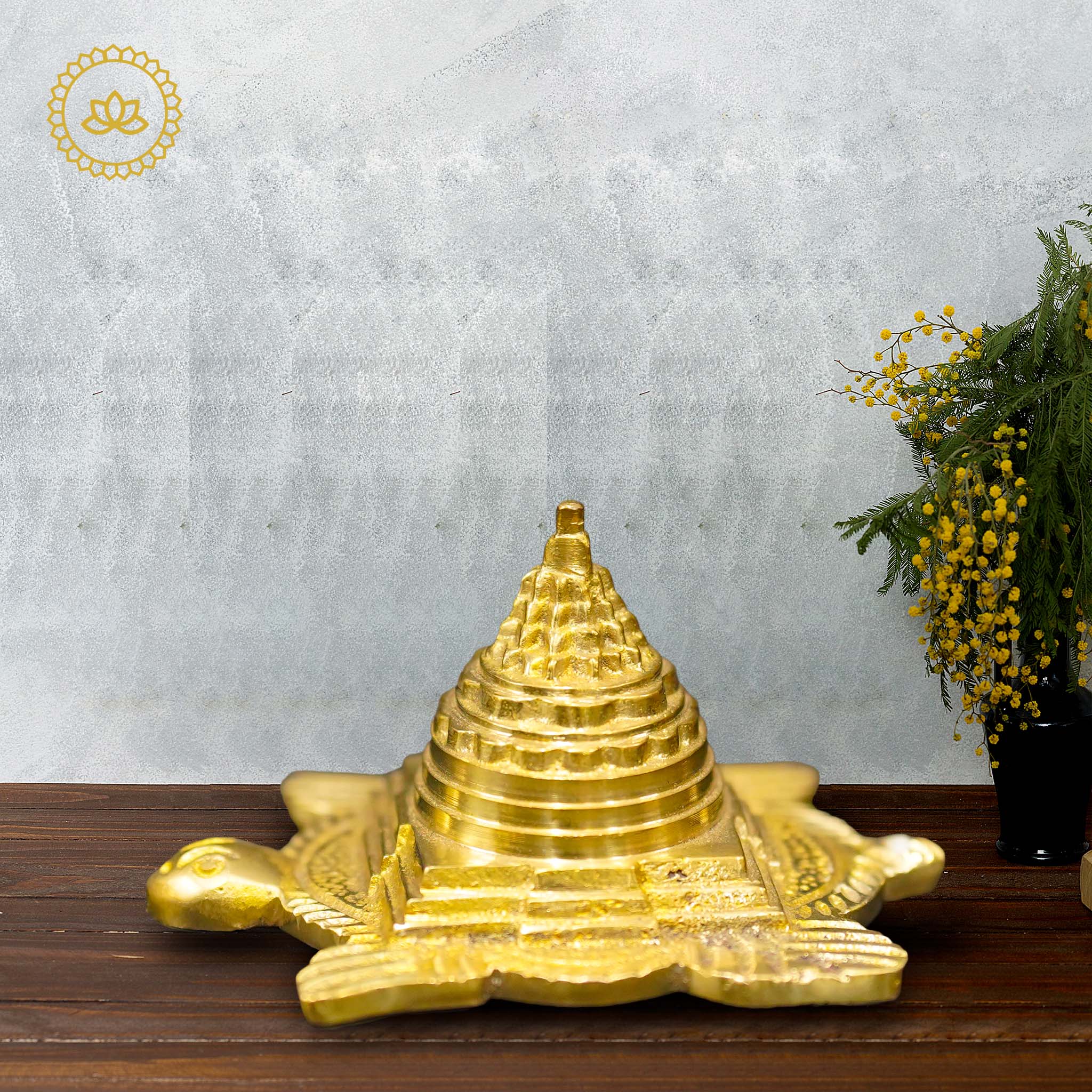 Sri Yantra on Tortoise for Vastu - Harness Positive Energy and Balance in Your Space - Distacart