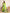 Vedant Vastram Soft Litchi Silk Kanjeevaram Silk Saree - Parrot - Distacart