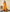 Vedant Vastram Cotton Silk Silk Jacquard Fancy Saree - Mustard - Distacart