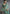 Vegaa Fashion Turquoise Silk Embroidered Wedding Wear Saree