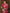 Anouk Woven Design Zari Kanjeevaram Saree