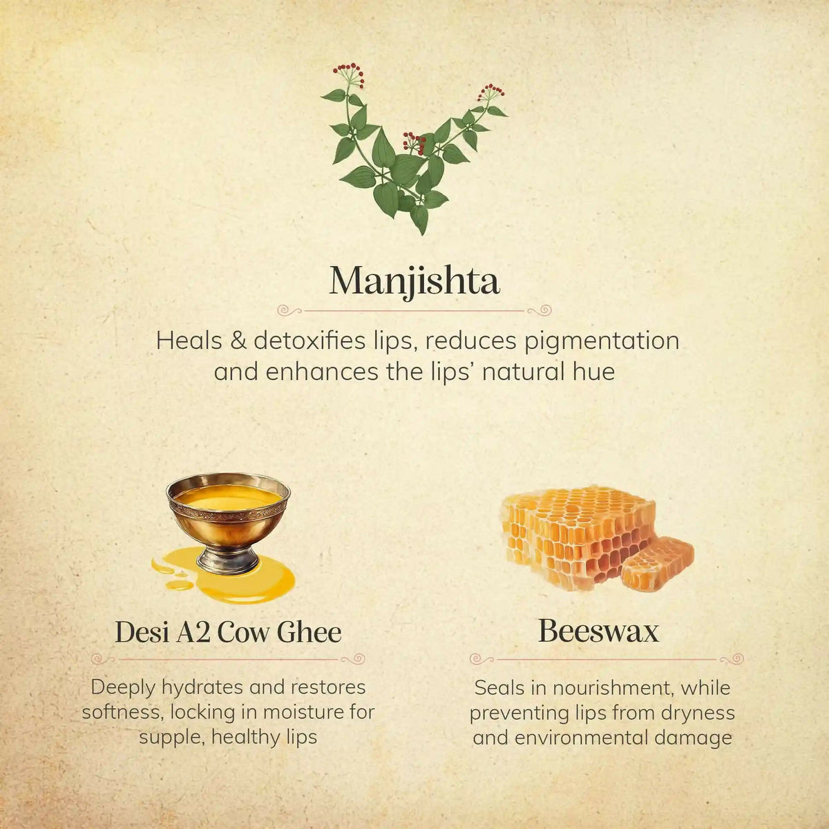 Chengavi Manjishta & Cow Ghee Lip Balm - Distacart