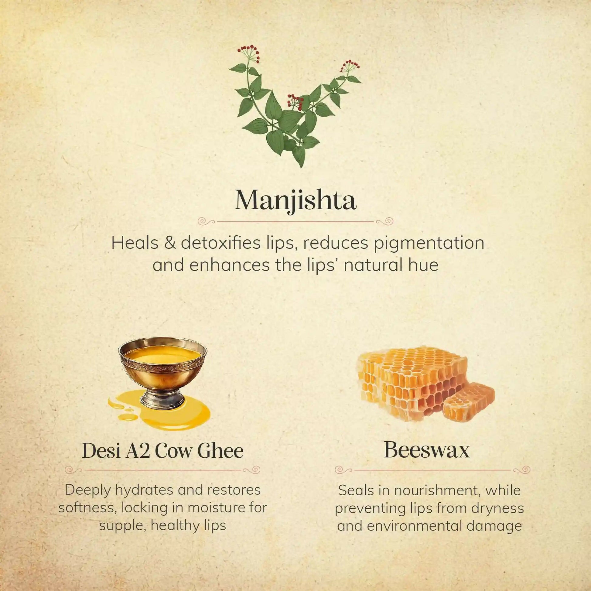 Chengavi Manjishta & Cow Ghee Lip Balm - Distacart