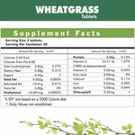 Thumbnail for Herbal Hills Ayurveda Wheatgrass Tablets - Distacart