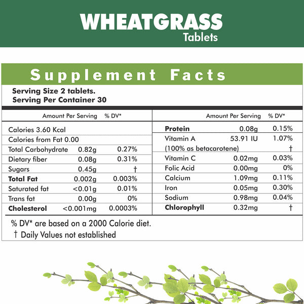 Herbal Hills Ayurveda Wheatgrass Tablets - Distacart