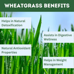 Thumbnail for Herbal Hills Ayurveda Wheatgrass Tablets - Distacart