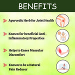 Thumbnail for Herbal Hills Nirgundi Joint Care Tablets - 60 Tablets - Distacart