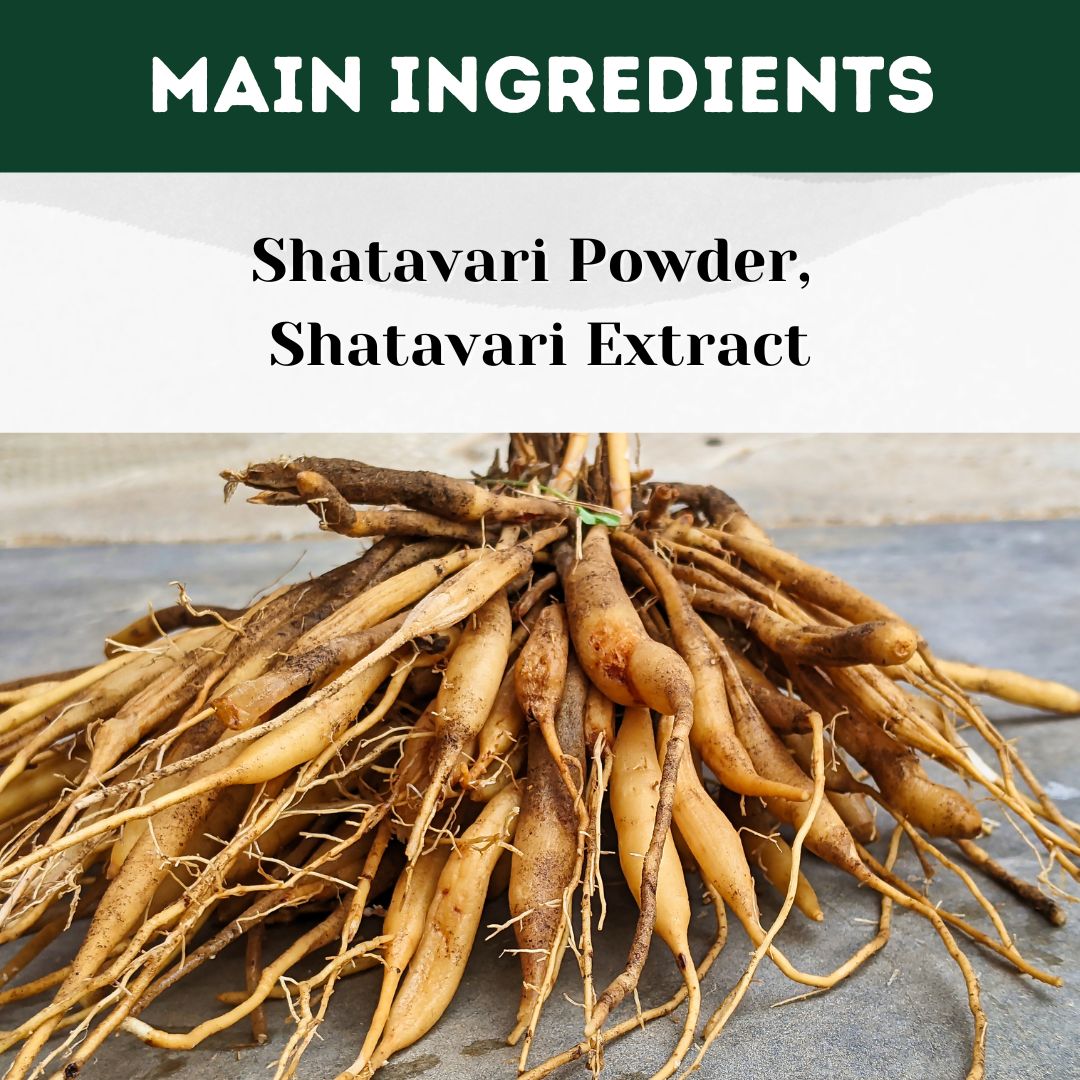 Herbal Hills Ayurveda Shatavarihills Capsules - Distacart