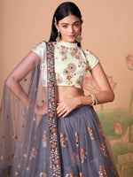 Thumbnail for Tulsi Art Sumptuous Grey Mirror Work Net Designer Lehenga Choli