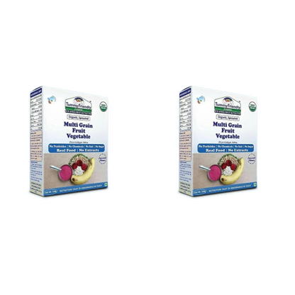 TummyFriendly Foods Organic Sprouted MultiGrain Fruit Vegetable Porridge Mix - Distacart