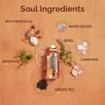Thumbnail for Vedic Valley Gilli Mitti Body Wash - Distacart