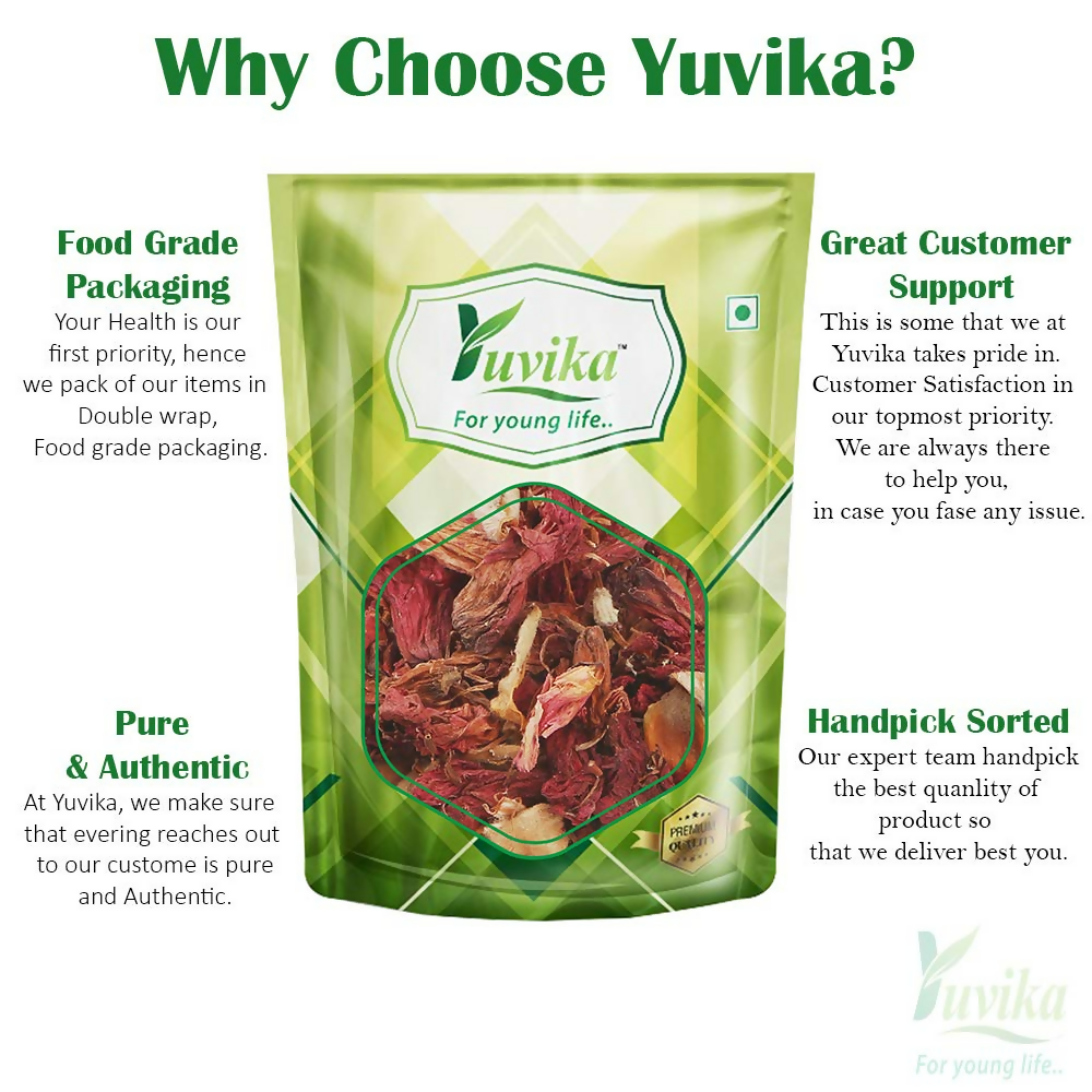 Yuvika Gudhal Phool - Jaswand - Hibiscus Rosa Sinensis - Hibicus Flower