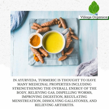 Village-Organica Turmeric Powder - Dista