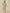 Aramya Straight Soft Cotton Floral Print Women's Kurta - Green